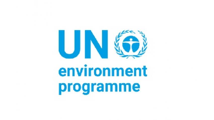UNEP United Nations Environmental Program Logo